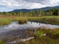 Vorbei an kleineren Moorseen